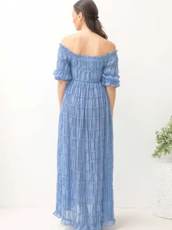 Mariana Sheer Maternity Photoshoot Dress in Blue