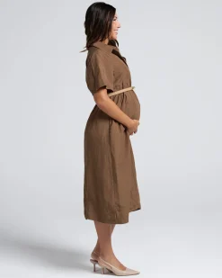 Sophia Maternity Belt Work Dress in Latte